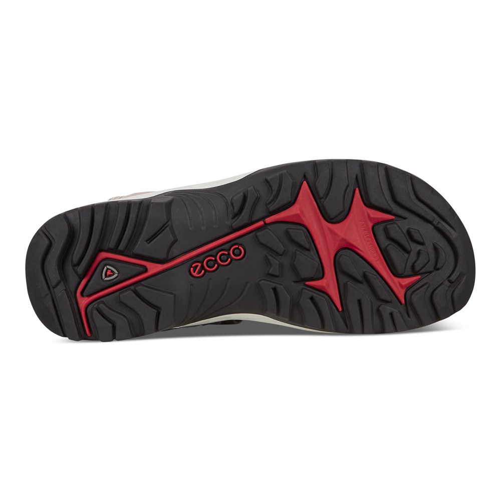 ECCO Mens Sandals Multicolor - Anniversary Yucatan - RGA-381756